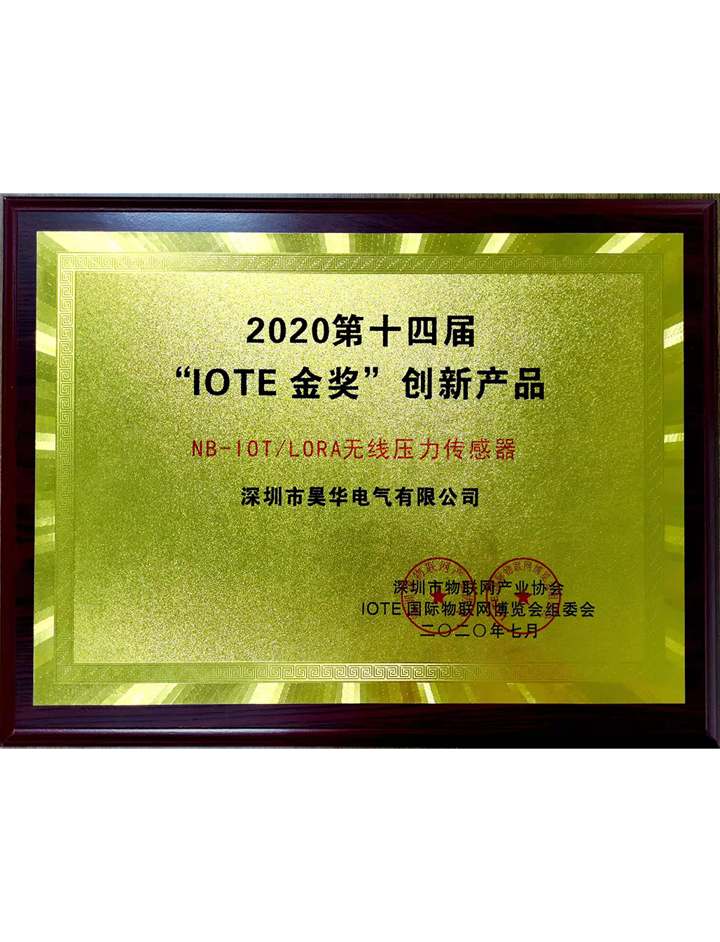 2020第十四屆“IOTE金獎”創新產品 NB-10T/LORA無線壓力傳感器